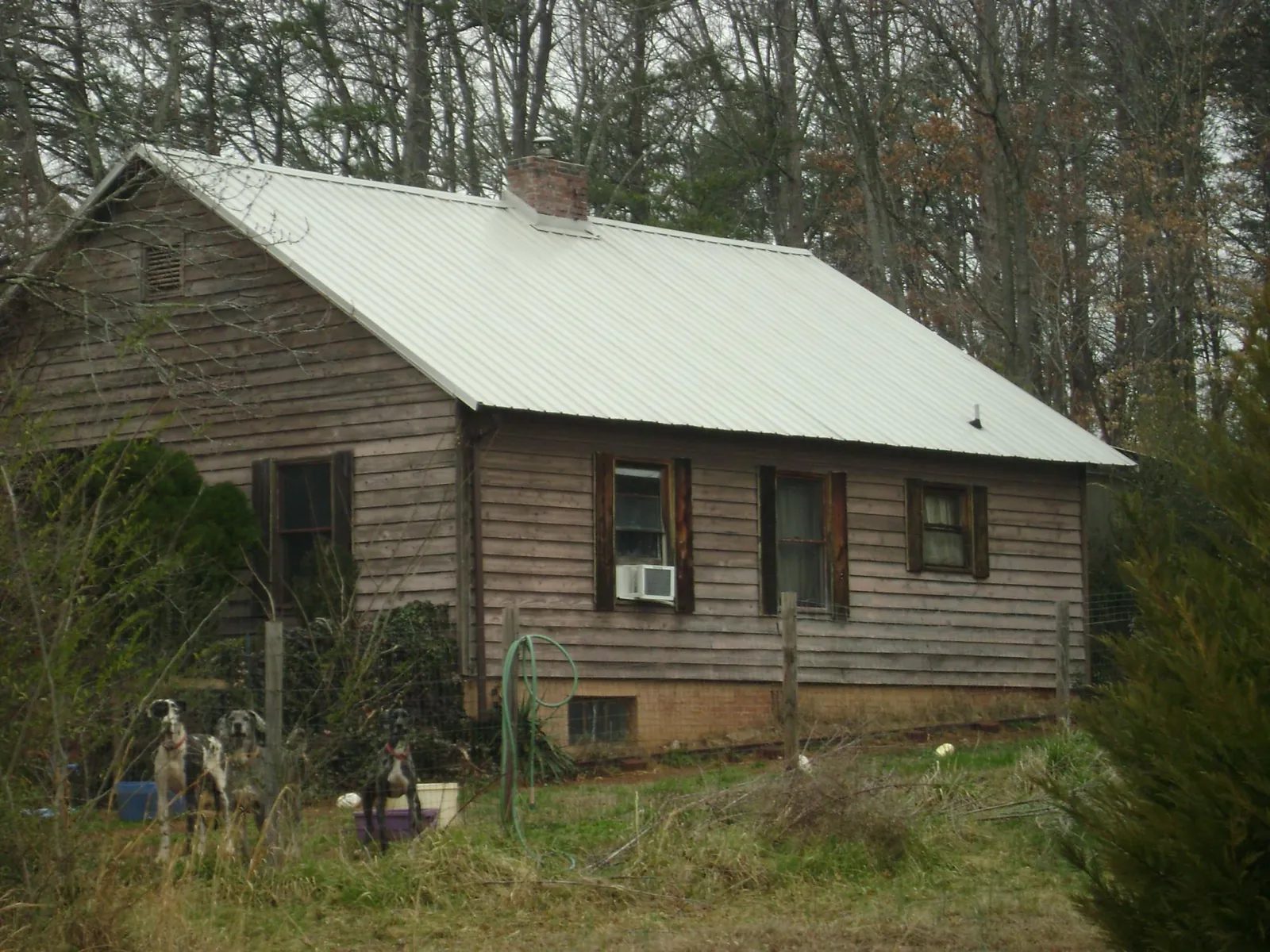 White metal roof on an old wood sided farmhouse, from a Asphalt Shingle Roof Repair job in Dysart